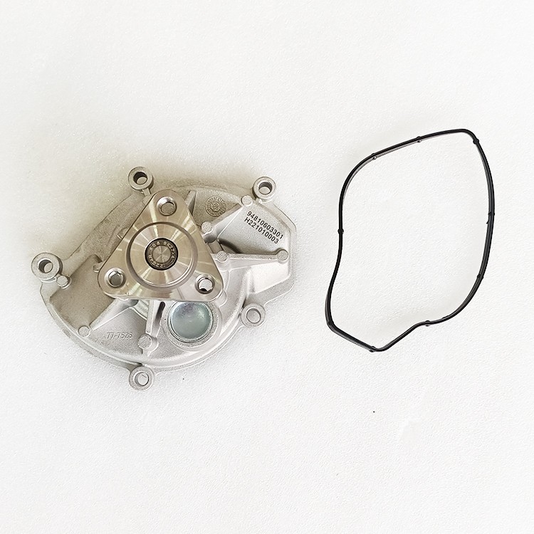 Industrial Machinery Diesel Engine Water Pump Assembly 94810603301