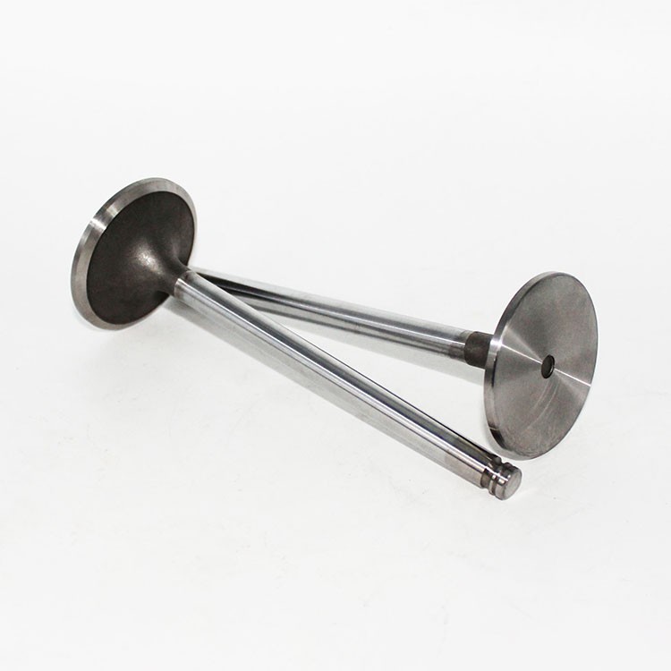 3924492 Intake Valve Cummins 6CT Truck Marine Diesel Engine Parts