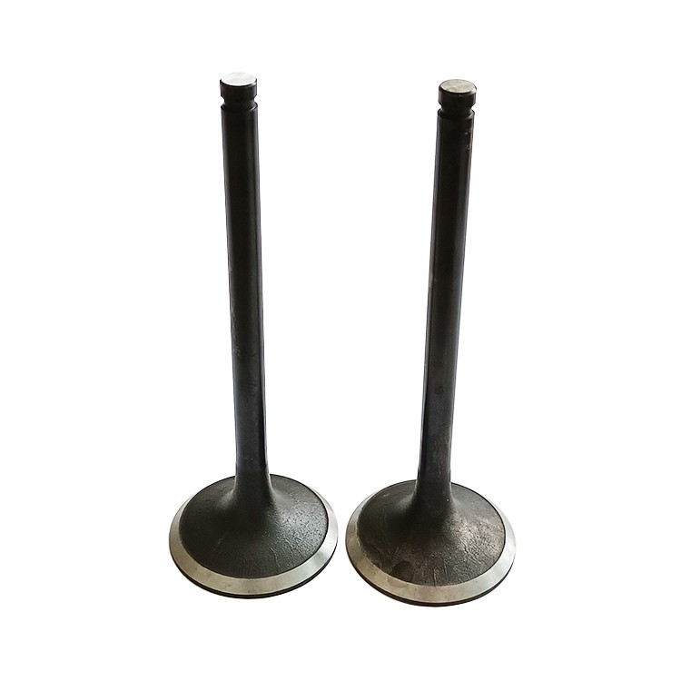 Industrial Machinery Diesel Engine B3.3 Intake Valve 6207414130 4982907