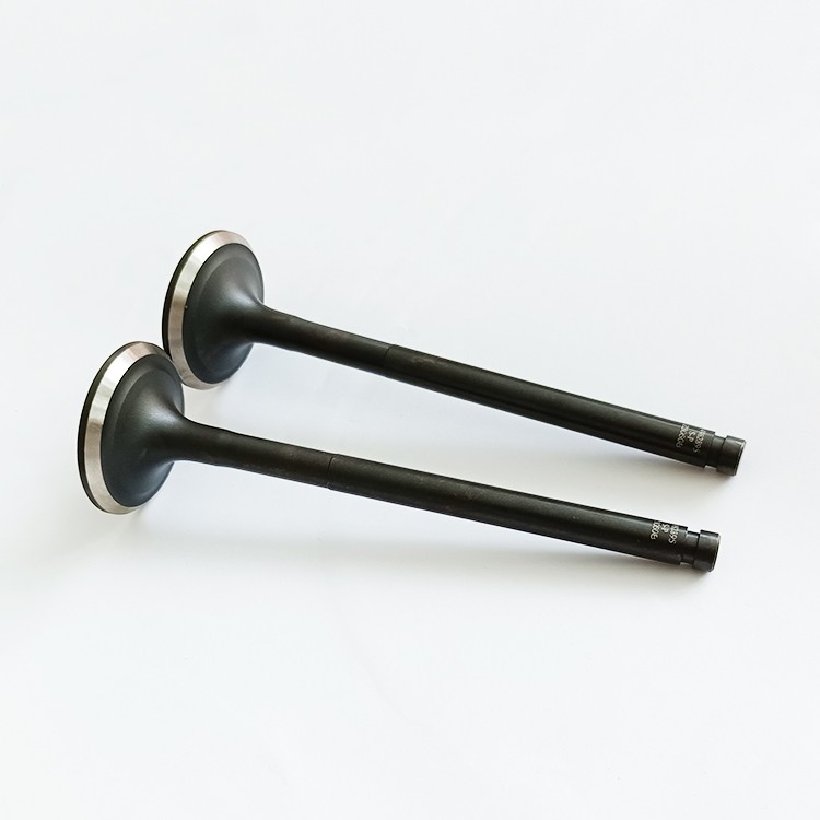 Agricultural Construction B3.3 Exhaust Valve 6204414210 4982909 4982895