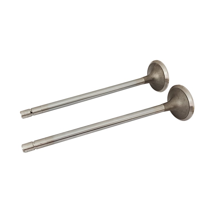 3800891 3166410 Exhaust Valve Construction Machinery Heavy Vehicle Engine Cummins N14 Parts