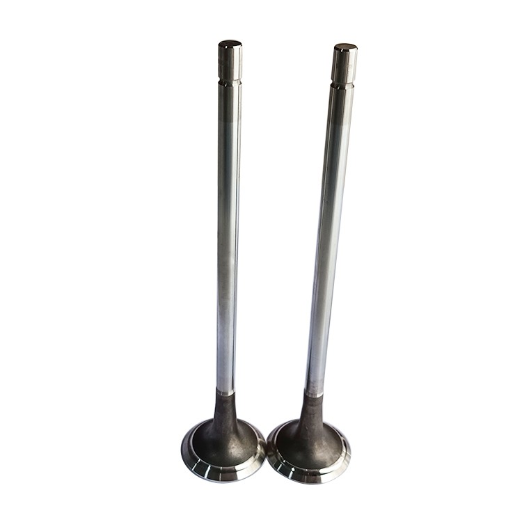 D5010412878 Exhaust Valve Renault Trucks Construction Machinery Diesel Engine Parts