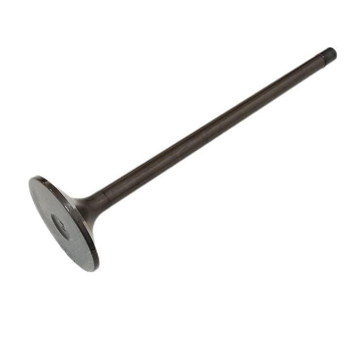 4007179 Intake Valve Heavy Machinery Truck Diesel Engine QSK23 Part