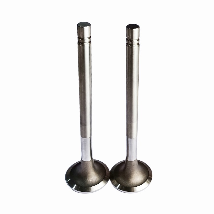 145701 3803524 Exhaust Valve Cummins NT855 Mountain Dozer Tractor Mining Generator Diesel Engine Parts